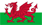 Wales flagga